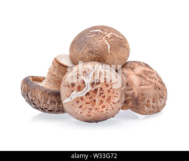Shiitake-Pilze auf weißem Hintergrund Stockfoto