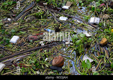 Bangkok, Thailand - 20 Januar, 2019: Abfall- und Wasserpflanzen floating in Mae Nam Chao Phraya Fluss unten taksin Brücke Stockfoto