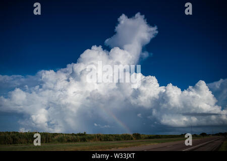 New Orleans, USA. 11. Juli, 2019. Gewitterwolken aufbauen und Sammeln in der Nähe von Port Schwefel am Stadtrand von New Orleans, Louisiana am Donnerstag. Mit Wasser des Mississippi Flusses zu einer aller hohen Zeit und ein Sturm im Golf von Mexiko bilden, die erwartet wird, Landfall auf der Louisiana und Texas Küsten zu machen, befürchten viele, dass Deiche versagen, und dass New Orleans erneut überflutet, so schlecht wie es war in der Zeit nach 2004 von Hurrikan Kartina werden. Credit: SOPA Images Limited/Alamy leben Nachrichten Stockfoto