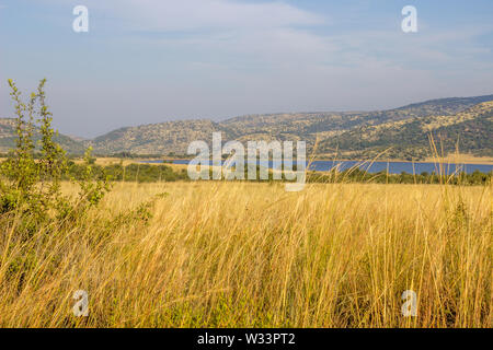 Landschaft im Pilanesberg National Park Stockfoto