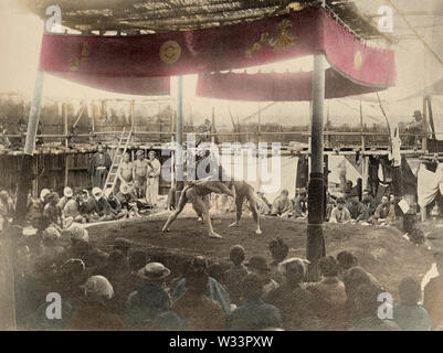 [1890s Japan - Sumo-ringer im äußeren Ring] - Sumo Ringer in einem äußeren Arena bei Eko-in Tempel (回向院) in Ryogoku, Tokio bereit, einen Kampf zu beginnen. Der Tempel wurde als Sumo Ringen Veranstaltungsort während der Edo-zeit (1603-1868) und Meiji (1868-1912) bekannt. Der erste Kampf war hier im September 1768 statt. Von Oktober 1833 (tenpo 4) bis 1909 (Meiji 42), die Zeit des "Eko-im Sumo" (回向院相撲), alle Sumo Turniere wurden im Tempel statt. Dieses Bild wurde in 1895 (Meiji 28) durch Kazumasa Ogawa in Szenen der Östlichen Hauptstadt von Japan veröffentlicht. 19 Vintage Lichtdruck drucken. Stockfoto