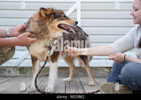 Foto von Seite der Sitzung Frau in Jeans und weißen Pullover streicheln Hund an der Leine gegen den Hintergrund der weißen Wand auf der Straße Stockfoto