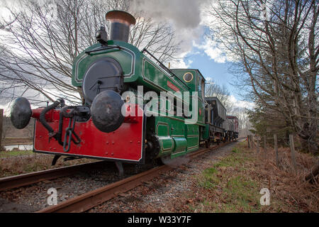 Restaurierte Dampflok (die Bon-Accord) auf einem Abschnitt der Royal Deeside Railway in der Nähe von Banchory auf Deeside, Schottland läuft Stockfoto