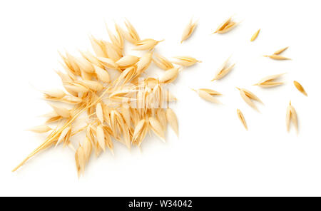 Hafer-pflanzen Bündel auf weißem Hintergrund. Ansicht von oben, flach Stockfoto