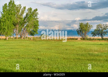 Wiese und die üppigen Bäume mit See Berg und bewölkter Himmel im Hintergrund. Die Spitzen der hoch aufragenden Berg ist mit Schnee bedeckt. Stockfoto