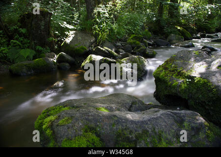 Wild River in den Wäldern der Ravennaschlucht Stockfoto