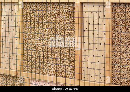 Nahaufnahme eines Holz- Insekt House hotel Struktur erstellt, Schutz für Insekten wie Bienen, Aussterben zu verhindern. Stockfoto