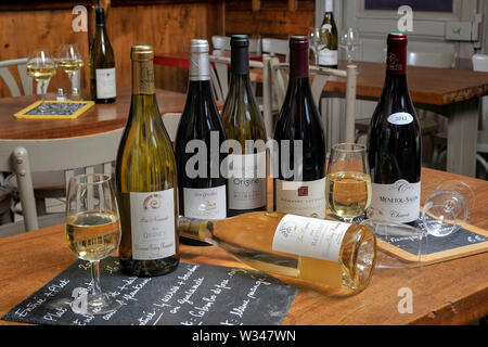 Flaschen von AOC-Wein (G.U.) aus der Region Berry in einer Bar in Bourges (Frankreich) Quincy, Valenz, Sancerre, Reuilly, Chateaumeillant Stockfoto