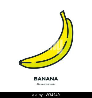 Banane Obst Symbol, Umriss mit Farbe füllen Stil Vector Illustration Stock Vektor