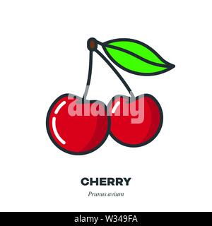 Kirsche Frucht Symbol, Umriss mit Farbe füllen Stil Vector Illustration, zwei Früchte mit Blatt Stock Vektor