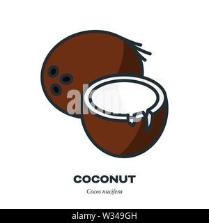 Coconut Symbol, Umriss mit Farbe füllen Stil Vektor-illustration, ganz und halbiert Obst Stock Vektor