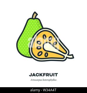 Jackfruit Symbol, Umriss mit Farbe füllen Stil Vector Illustration, ganze Früchte und Querschnitt Stock Vektor