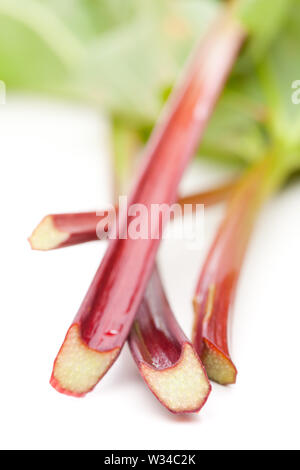 Rhabarber isoliert auf weißem Hintergrund Stockfoto