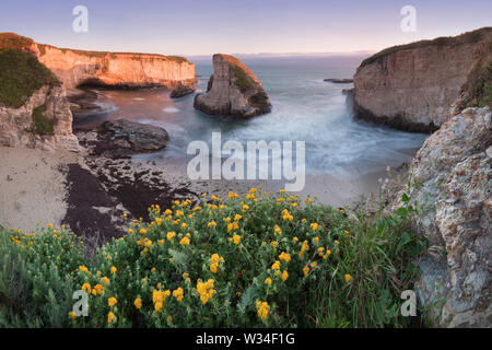 Panoramablick über Shark Fin Cove (Shark Tooth Beach). Davenport, Santa Cruz County, Kalifornien, USA. Sonnenuntergang in Kalifornien - Wellen und Sonneneinstrahlung Stockfoto