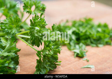 Gehackte Petersilie auf Schneidebrett closeup Stockfoto