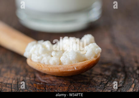 Organische probiotischen Milch Kefir grains. Tibetische Pilze Körner sind auf der hölzernen Löffel und kefir Milch in einem Glas auf den Tisch. Stockfoto