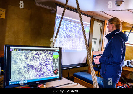 12 Juli 2019, Bremen, Bremerhaven: Kimberly Henschke, Student der maritimen Technologien an der Hochschule Bremerhaven, steht auf einer Leinwand im Restaurant und Museum Ship eute Deern,' und steuert ein Unterwasserroboter mit denen sie untersucht den Rumpf der Seute Deern. Die Ergebnisse sollten eine bessere Planung für die anstehenden Renovierungsarbeiten zu ermöglichen. Foto: mohssen Assanimoghaddam/dpa Stockfoto