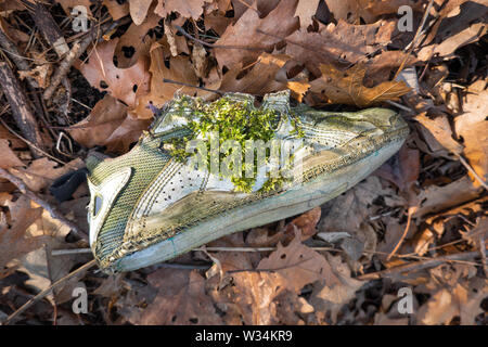 Eine verlorene, abgenutzte Laufschuh wird ein Haus für Moss in den Wäldern von Toronto, Ontario beliebte High Park. Stockfoto