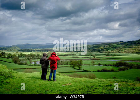 Wandern in der Towy Valley Llandeilo Carmarthenshire Wales Stockfoto