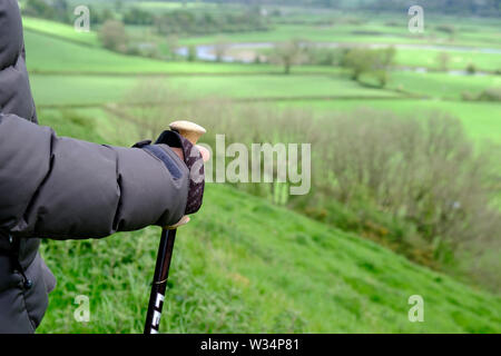 Wandern in der Towy Valley Llandeilo Carmarthenshire Wales Stockfoto