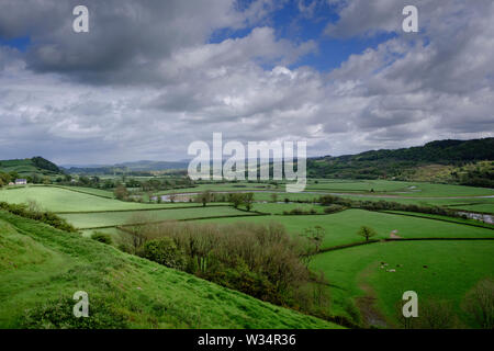 Wandern in der Towy Valley Llandeilo Carmarthenshire Wales Stockfoto