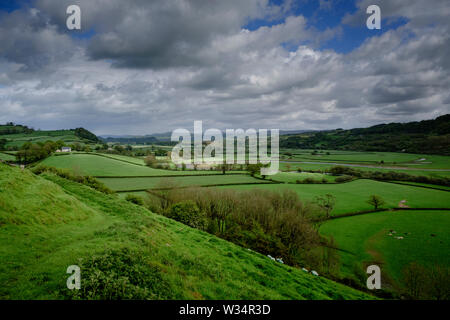 Wandern in der Towy Valley Llandeilo Carmarthenshire Wales Stockfoto