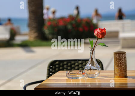 Rote Rose steht in einem Glas Vase Stockfoto
