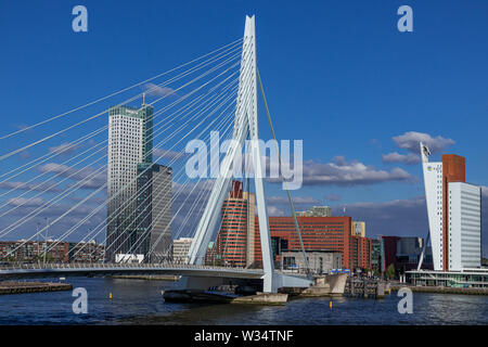 Stadtbild von Rotterdam, Niederlande, mit Erasmusbrug Erasmus Brücke über den Fluss Nieuwe Maas und Skyline von Kop van Zuid district Stockfoto