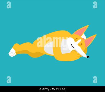 Corgi schlafen. Hund schläft. Pet-schlafend. Vector Illustration Stock Vektor