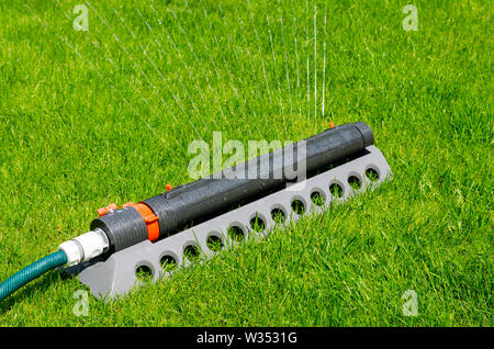 Das Bewässerungssystem, Sprinkler spaying Wasser über den grünen Rasen. Studio Foto Stockfoto