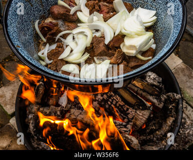 Weiße Zwiebeln und gebratenen Rindfleisch hängen in einem Topf über dem offenen Holzfeuer für die Zubereitung von kesselgulasch. Stockfoto