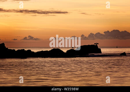 Kormoran mit ausgebreiteten Flügeln, Sonnenaufgang über Mounts Bay, Cornwall, England, Großbritannien. Stockfoto