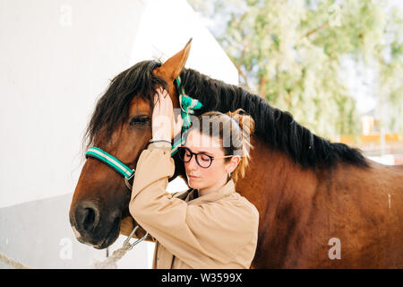Junge Frau Physiotherapeutin kümmert sich ein braunes Pferd. Stockfoto