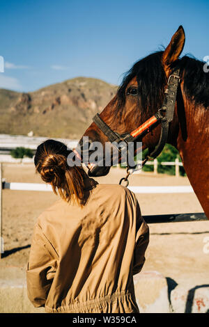 Weibliche Tierarzt prüfen Pferd beim Stehen in der stabil. Pferde Physiotherapie. Stockfoto