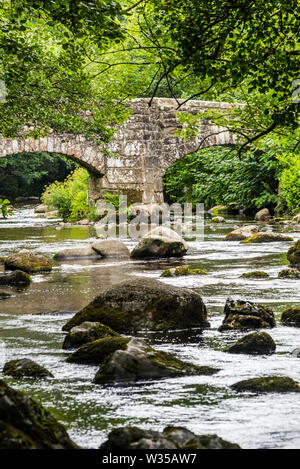 Das fingle Brücke über den Fluss Teign, Devon. Stockfoto