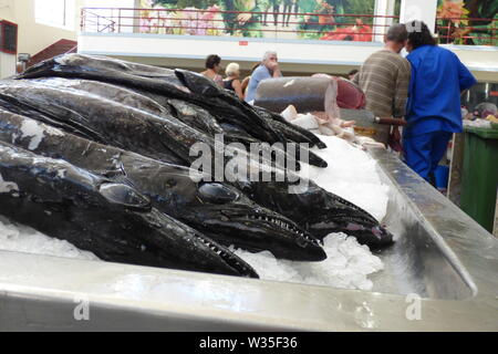 MADEIRA SOMMER 2019 Stockfoto