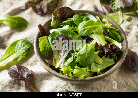 Raw Green Organic Baby Frühjahr Salat in eine Schüssel geben. Stockfoto