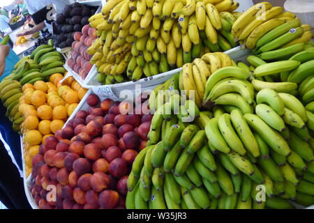 MADEIRA SOMMER 2019 Stockfoto