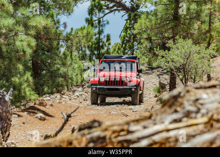 Teneriffa, Spanien - September 02, 2016: Jeep auf einer schmalen Rocky Mountain Forest Road von einem gefallenen Alte trockene Pinie blockiert. Der Fahrer ging zu sehen w Stockfoto