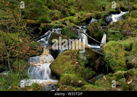 Ein kleiner Wasserfall fließt über Geröll an Wyming Bach Schlucht am Stadtrand von Sheffield, South Yorkshire. Stockfoto
