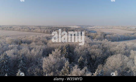 Luftaufnahme Landschaft im Winter schneebedeckten Feld und Bäume in der Landschaft. Winter in die Landschaft. Schneebedeckte Felder und Bäume im Winter Stockfoto