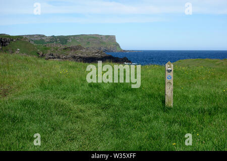 Holz- Wegweiser in der Nähe von dunseverick Hafen mit Benbane Head im Hintergrund auf Causeway Coastal Weg des Riesen, County Antrim, Nordirland, Großbritannien Stockfoto