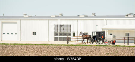 Dieses Pferd und Buggy ist mit Anhänger und Street Legal im Mittleren Westen der USA ausgestattet Stockfoto