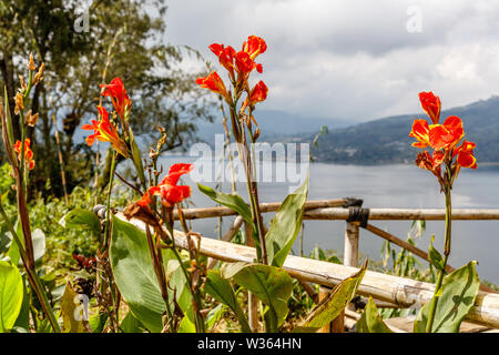 Der Buyan See (Danau Buyan) von der Spitze. Buleleng, Bali, Indonesien. Stockfoto