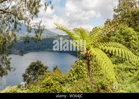 Der Buyan See (Danau Buyan) von der Spitze. Buleleng, Bali, Indonesien. Stockfoto