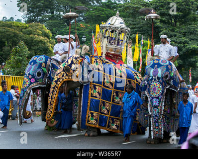 Ein Trio der zeremoniellen Elefanten sind unter der Leitung von Mahouts entlang einer Straße bei Kandy auf Sri Lanka während des Tages Perahera, der letzte Tag der Esala Perahera. Stockfoto