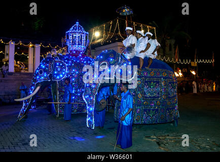 Zeremonielle Elefanten in blau Umhänge Parade durch die Straßen von Kandy in Sri Lanka gekleidet während der Buddhistischen Esala Perahera (große Prozession). Stockfoto