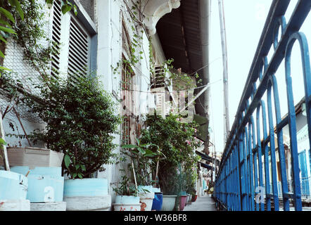 Schöne Nahaufnahme Fassade des antiken Haus in China Town, Cho Lon, Viet Nam am Tag, alte Haus mit hölzernen Tür und Reben auf weiße Wand im Vintage Farbe Stockfoto