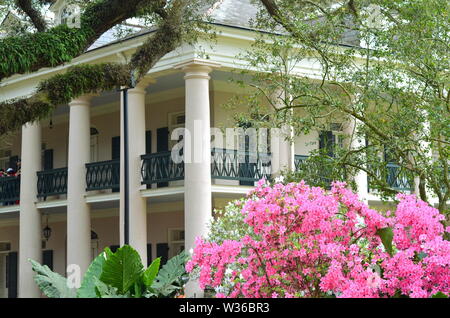 OAK ALLEY PLANTAGE, LOUISIANA/USA - 19. APRIL 2019- - großes Haus Villa am Ende der lebenden Eiche (Quercus virginiana) Gasse Stockfoto