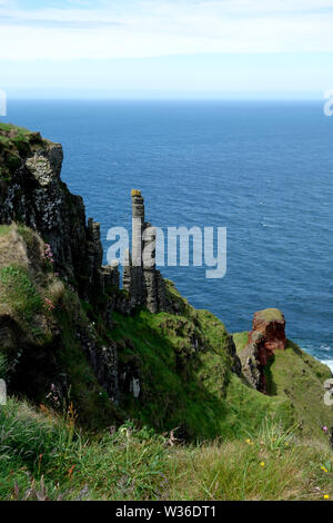 Der Schornstein Tops (Spalten) auf Causeway Coastal Weg des Riesen, County Antrim, Nordirland, Großbritannien Stockfoto